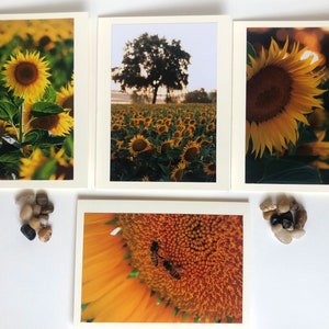 Sunflower Card Pack, Selbstgemachte Fotokarten, 4 Blanko-Fotokarten, Blankokarten, Blumen, Sonnenblume, Geburtstag, Urlaub, besondere Anlässe, Karten
