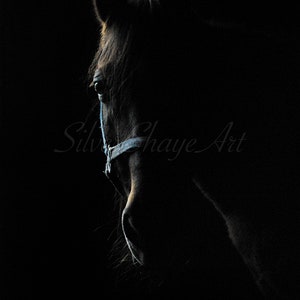 Die Stute, Pferd, Pferd, Pferd Fotografie, Dunkel, Hell, Pferd Wandkunst, Stute Wandkunst, dunkles Pferd Wandkunst, Pferd Dekoration