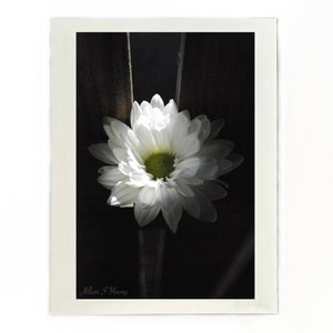 Weiße Blumen Karte, handgemachte Fotokarte, Blume, Floral, Blanko-Karten, Geburtstag, Urlaub, besonderer Anlass, Sympathie, Jubiläum, Karten