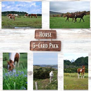 Lot de 5 cartes vierges sur le thème des chevaux pour toutes les occasions, 5 motifs photo colorés, des cartes de voeux pour tous, personnalisées et bien pensées