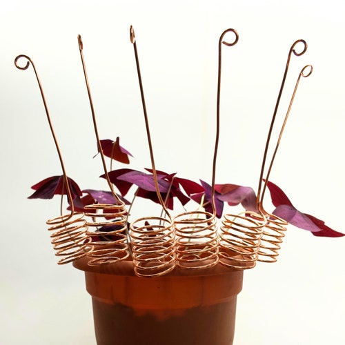6 pack of Copper Electroculture Antennas | Great for Your Garden | Electro Culture Gardening Antennas | Cute Plant Decor | Perfect Gift