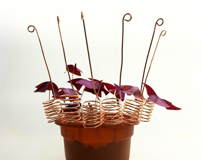Featured listing image: 6 pack of Copper Electroculture Antennas | Great for Your Garden | Electro Culture Gardening Antennas | Cute Plant Decor | Perfect Gift
