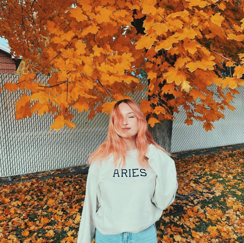 May include: A woman with pink hair is standing in front of a chain link fence with fall leaves on the ground. She is wearing a white sweatshirt with the word "ARIES" printed on it.
