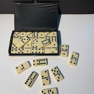 24 Peice Domino Set with Carry Case