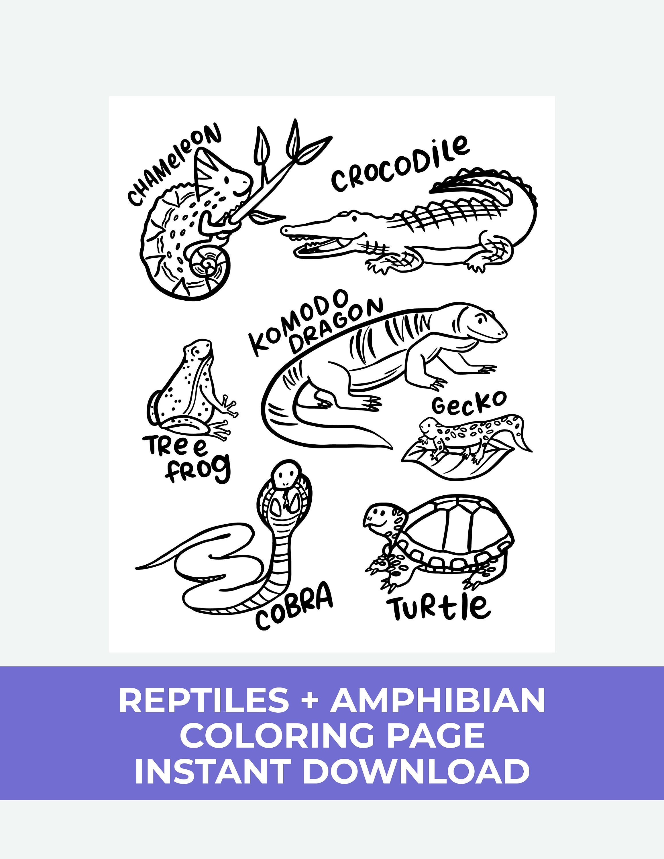 Reptile Amphibian Coloring Pages