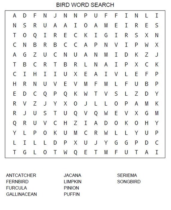 28 large print bird word search puzzles kdp interior etsy canada