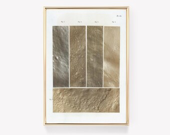 Lunar Drawings | Sublunary Art | Scientific Moon Print | Vintage Image | Early Star Map | 19th Century Art