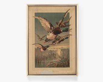 Vintage Ducks Print | Flying Ducks Wall Art | Bird Illustration | Vintage Painting | Duck Art Poster