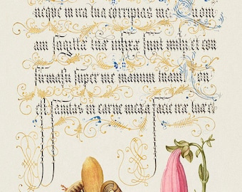 Illuminated Manuscript | Ornate Lettering Print | Floral Illustration | Vintage Painting | Wall Art
