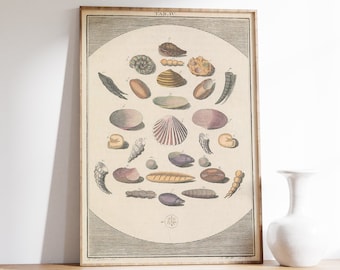 Marine Life Print | Ocean Art Print | Nautical Wall Decor | Nautical Print | Ocean Print | Antique Sea Painting | Famous Nature Print