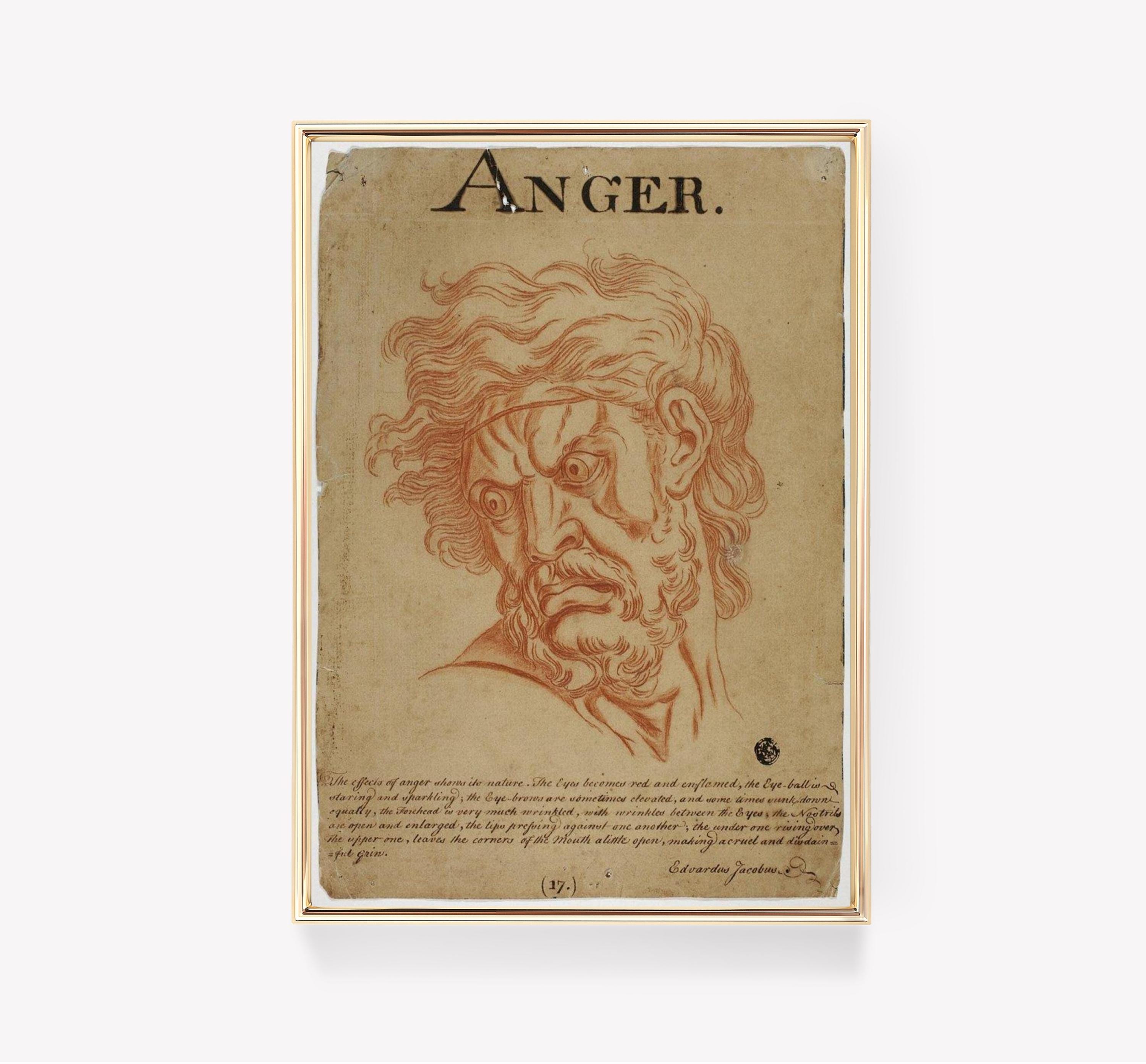 Charles Le Brun Anger | Classic Art Print | Historical Wall Art ...