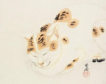 Sleeping Cat | Vintage Print | Cat Art | Japanese Art | Ukiyo-e Cat | Classic Print | Vintage Painting