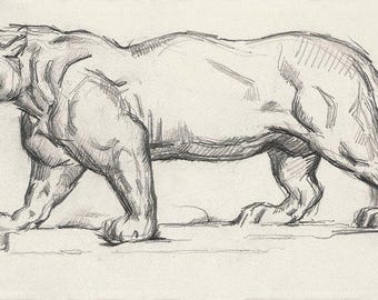Big Cat Artwork | Vintage Cat Print | Leopard Drawing | Feline Wall Art | Wild Cat Decor | Animal Print
