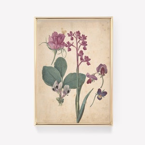 Premium Print | Premium Print | Flowers Poster | Vintage Painting | Botanical Painting | Fine Art Print | Museum Quality Print | Wall Art