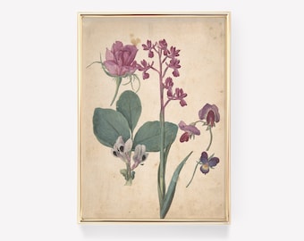 Premium Druck | Premium Druck | Poster mit Blumen | Vintage Gemälde | Botanische Malerei | Kunstdruck | Museumsqualitätsdruck | Wandkunst