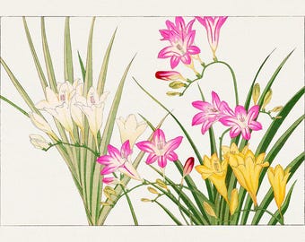 Floral Illustration Print | Vintage Painting | Botanical Art | Spring Bloom Print | Nature Wall Decor