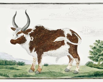 Stier Im Querformat | Stier Portrait Druck | Vintage Gemälde | Tier Art Decor | Antiker Tierdruck |