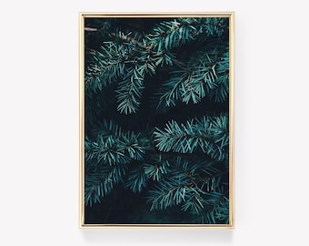 Pine Tree Print | Nature Art | Evergreen Poster | Landscape Print | Vintage Painting | Wall Decor