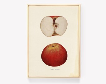 Zoete Winesap-poster | Appelkunst | Vintage fruitprint | Keukendecoratie | Retro appelschilderij | Voedselkunst