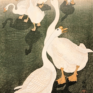 May include: A Japanese woodblock print depicting five white geese with orange beaks and feet. The geese are standing on a green background with their shadows visible. The print is signed in the lower right corner with a red seal.