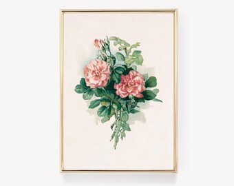 Pink Roses Print | Pierre-Joseph Redouté Art | Vintage Painting | Floral Wall Art | Antique Floral Print