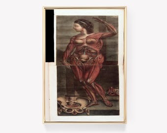 Andreas Vesalius-tryck | Anatomisk konst | Historisk medicinsk bild | Vintage medicinsk illustration |