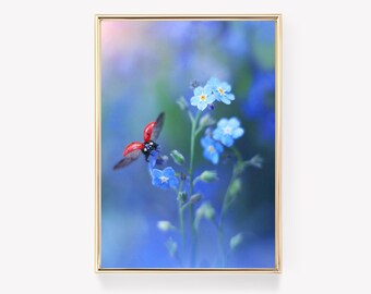 Lieveheersbeestje op bloemen | Natuurkunstafdruk | Scène met wilde bloemen | Lieveheersbeestje-afdruk | Vintage schilderij