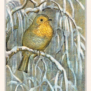 Archibald Thorburn | Impressão de pássaro vintage | Arte de cartão de Natal | Impressão de pássaro Thorburn | Ilustrações de feriado