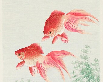 Lámina artística de pez dorado / Pez dorado de Takeuchi Seihō / Pintura vintage / Lámina clásica de peces / Decoración de pared