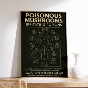 Giftig Kunstdruck | Poster Sternzeichen | Pilz Schaubild | Geburtstagsgeschenk | Vintage Druck | Astrologie Karte Print