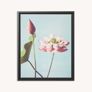 Premium ingelijst canvas | Bloemen | Vintage schilderij | Canvas muurkunst | Woondecoraties