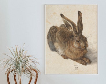 Albrecht Durer - Young Hare (1502) - Classic Painting Photo Poster Print Art Gift Rabbit Animal Albert