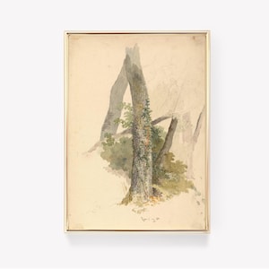 May include: A watercolor painting of a tree trunk with vines growing up it. The tree is in a forest setting with other trees in the background. The painting is done in shades of brown, green, and white.