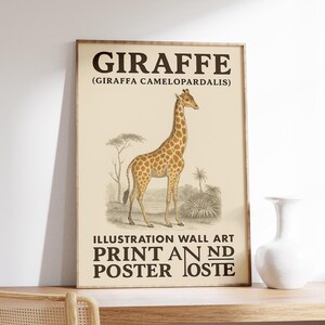 May include: A framed vintage-style print featuring a giraffe illustration. The giraffe, with its distinctive spotted pattern, stands in a savanna landscape. The print includes the word "GIRAFFE" and the scientific name, "Giraffa Camelopardalis".