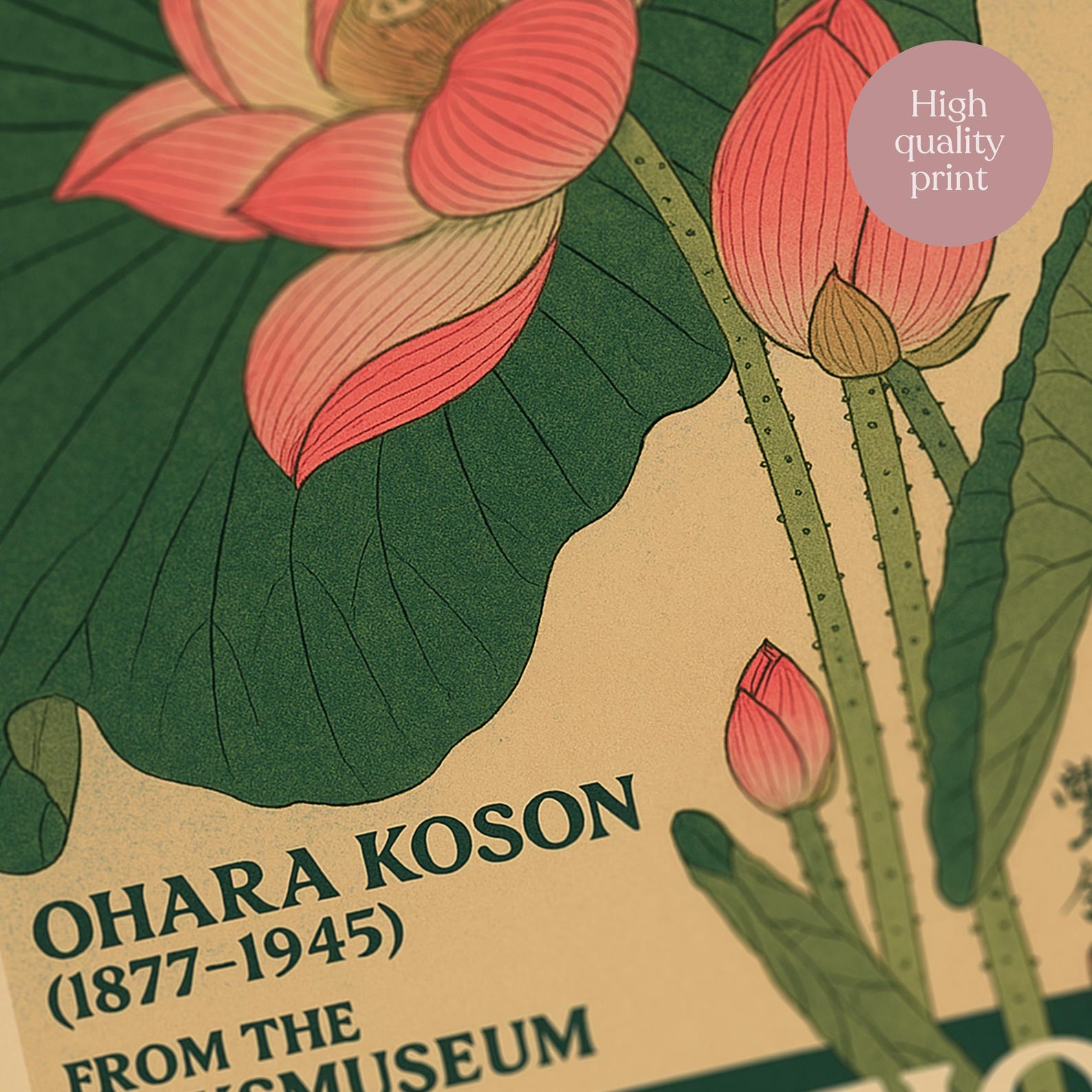 Vintage Japanese Lotus Flower Poster by Ohara Koson From Rijksmuseum ...