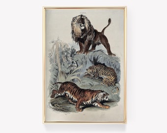 Lion Print | Tiger Print | Leopard Print | Big Cat Art | Wildlife Wall Art | Vintage Painting | Animal Decor