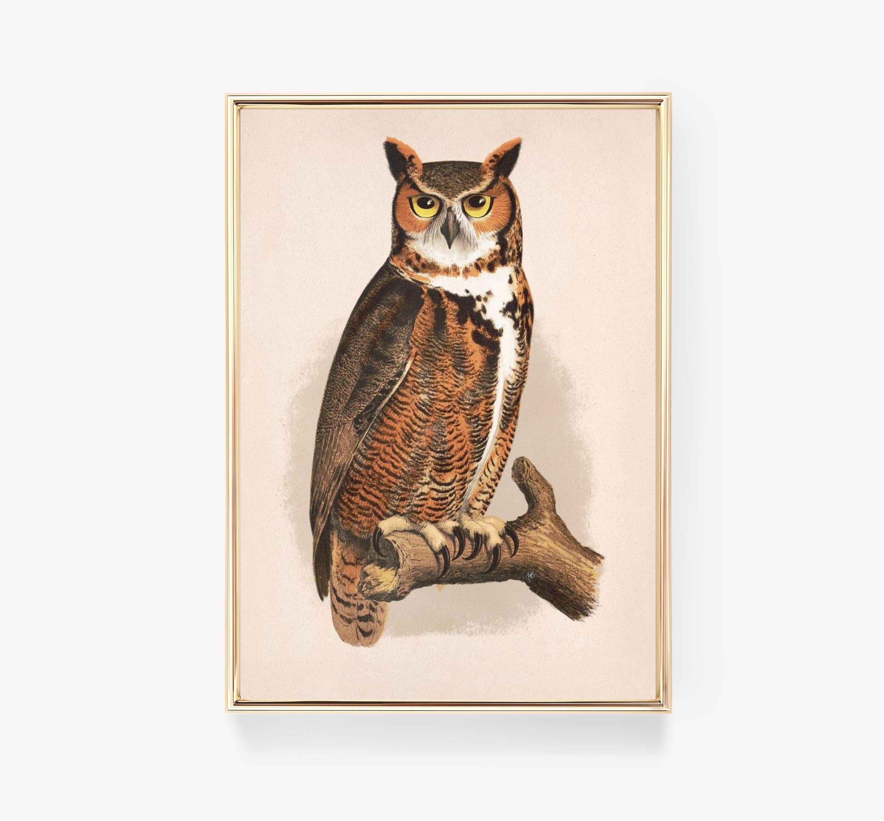 Great Horned Owl | Audubon Owl Print | Vintage Bird Art | Nature Poster | Wildlife Print | Wall Deco