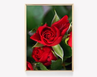Red Roses Art | Rose Flower Print | Floral Wall Art | Vintage Painting | Botanical Decor | Rose Print