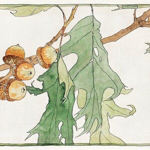 May include: A watercolor painting of a branch with green leaves and brown acorns. The acorns are clustered together on the branch.
