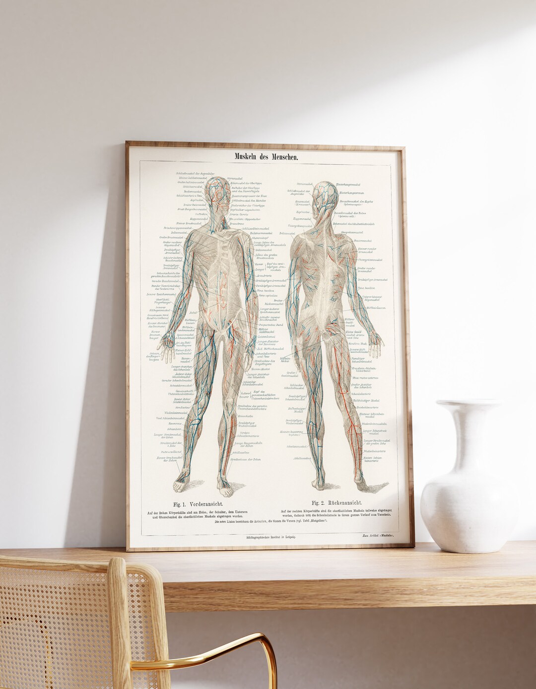 Surgeon Print | Body Anatomy Art Print | Human Anatomy Art | Vintage ...