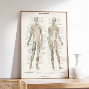 Chirurg afdrukken | Lichaam anatomie Art Print | Menselijke anatomie kunst | Vintage medische print | Vintage anatomie illustratie | Chirurg kunst aan de muur