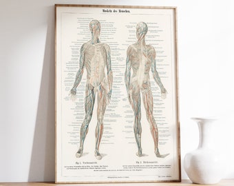 Surgeon Print | Body Anatomy Art Print | Human Anatomy Art | Vintage Medical Print | Vintage Anatomy Illustration | Surgeon Wall Art