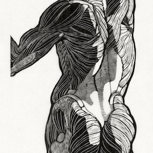 Spiersysteem | Anatomisch diagram | Illustratie spier | Menselijk lichaam print | Educatieve kaart | Muurkunst