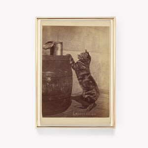 Può includere: Una fotografia vintage in bianco e nero di un gatto in piedi sulle zampe posteriori, che raggiunge un contenitore di metallo sulla cima di una botte di legno. La foto è incorniciata in una cornice dorata e ha la parola "Expectation" scritta in basso.