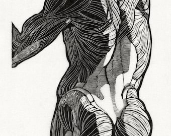 Rick Shepherd Art | Muscle Anatomy Print | Human Back Drawing | Vintage Anatomy | Wall Art Decor