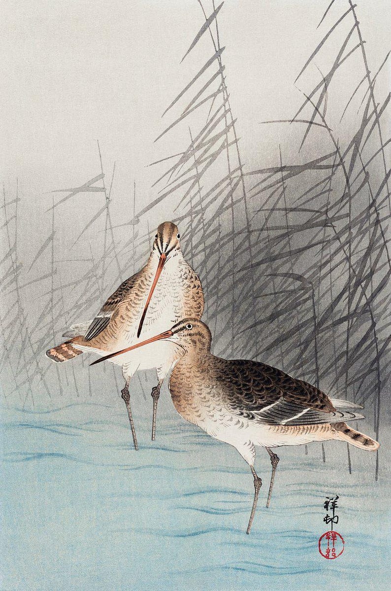 Ohara Koson Art | Japanese Snipe Print | Reeds Illustration | Vintage ...
