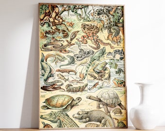 Alligator Wall Art | Reptiles II by Adolphe Millot | Snakes Poster | Lizard Wall Art | Lizard Print | Alligator Print | Science Textbook Art