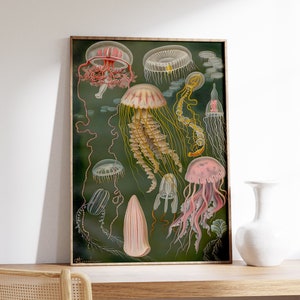 Vintage Quallen Druck | Meer Leben Kunst | Ozean Print | Fisch Kunst | Wildtiere | Art Poster | Maritime Kunst | Maritimer Druck | Wohndekor