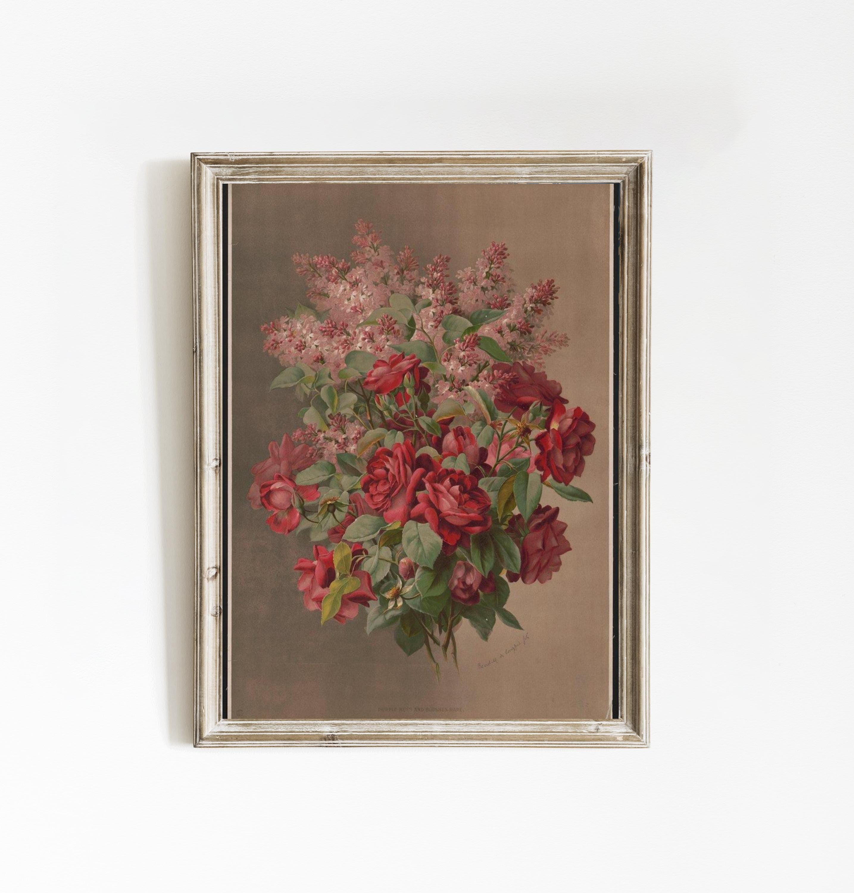 Roses By Raphael Raphael Tuck Print | Purple Rose Art | Duchess Rose Poster | Vintage ...