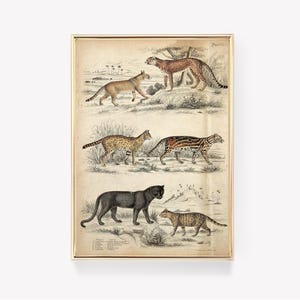 Cat Prints | Vintage Painting | Feline Art | Cute Cat Print | Retro Cat Print | Wall Art | Vintage Print
